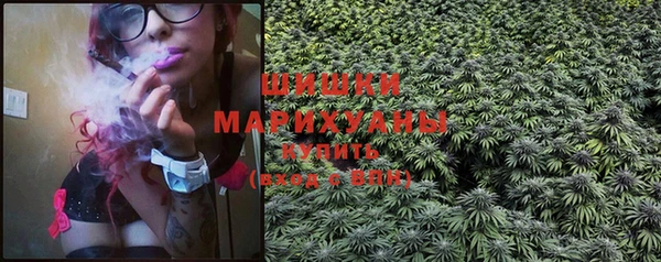ECSTASY Бронницы