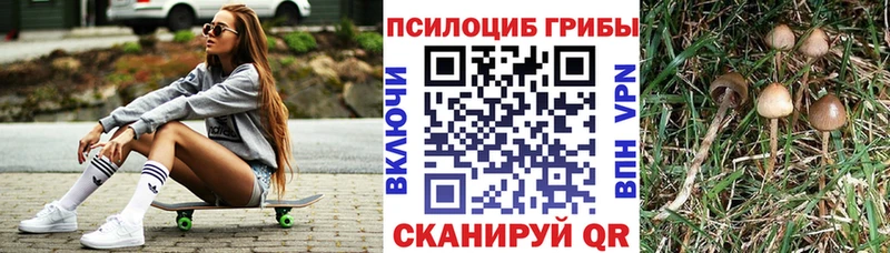 Псилоцибиновые грибы Magic Shrooms  Городище 